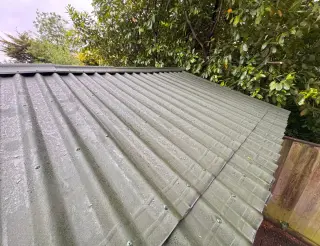 Toiture en plaques bitumées vertes mouillée par la pluie, sous les branches d'un arbre