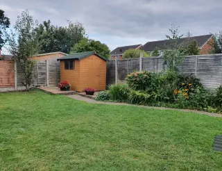 Abri de jardin couvert de plaques bitumées vertes au fond d'un jardin entouré d'arbres et de haies