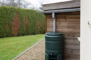 Gouttière posée à l'égout d'un abri de jardin adossé, dirigeant l'eau de pluie vers un récupérateur, à l'écart du mur de la maison et de la limite de propriété