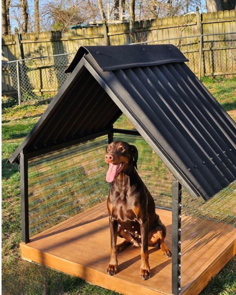 abris pour animal de compagnie